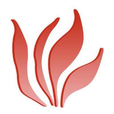 Sristisukh || সৃষ্টি সুখ