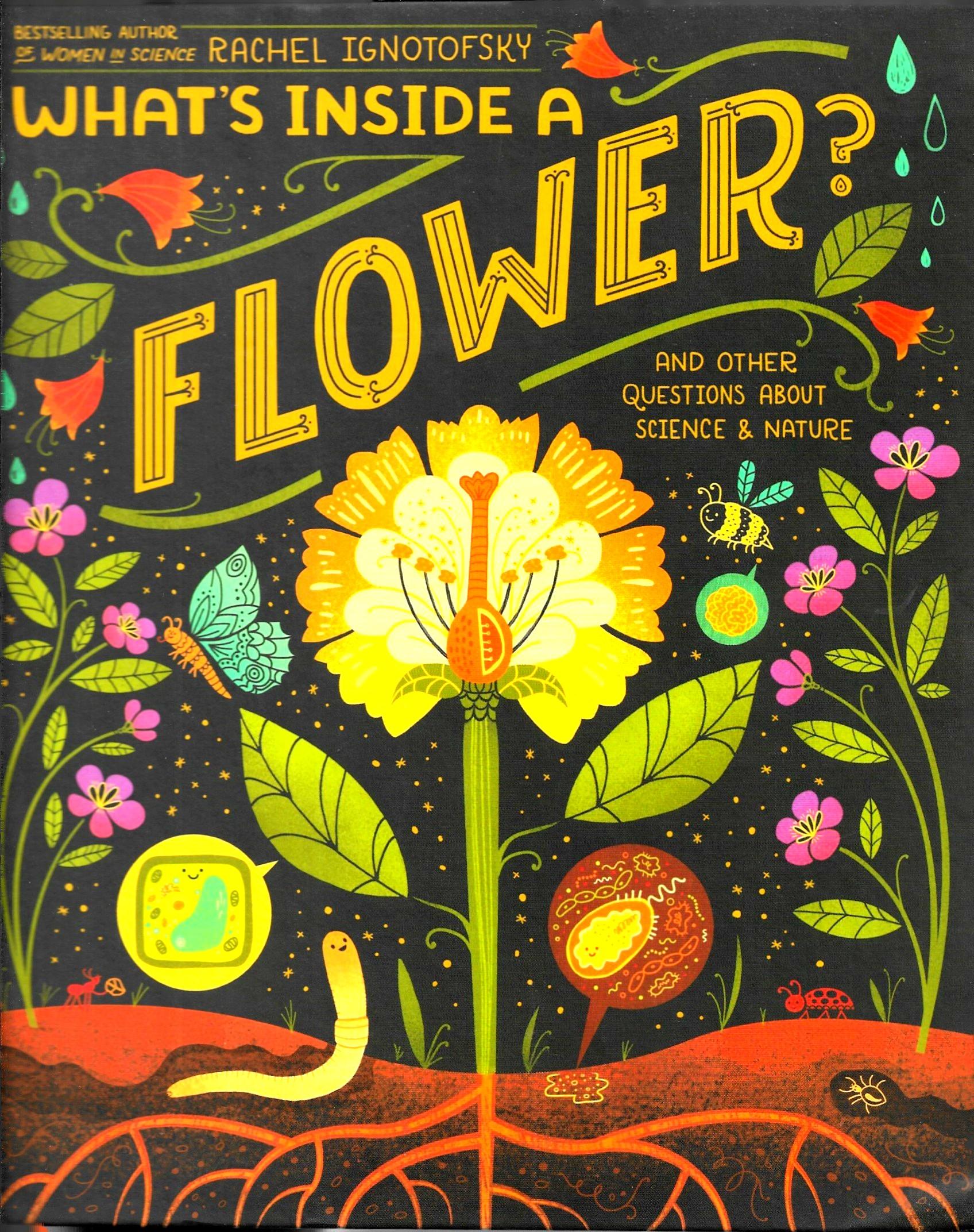 What's Inside A Flower?