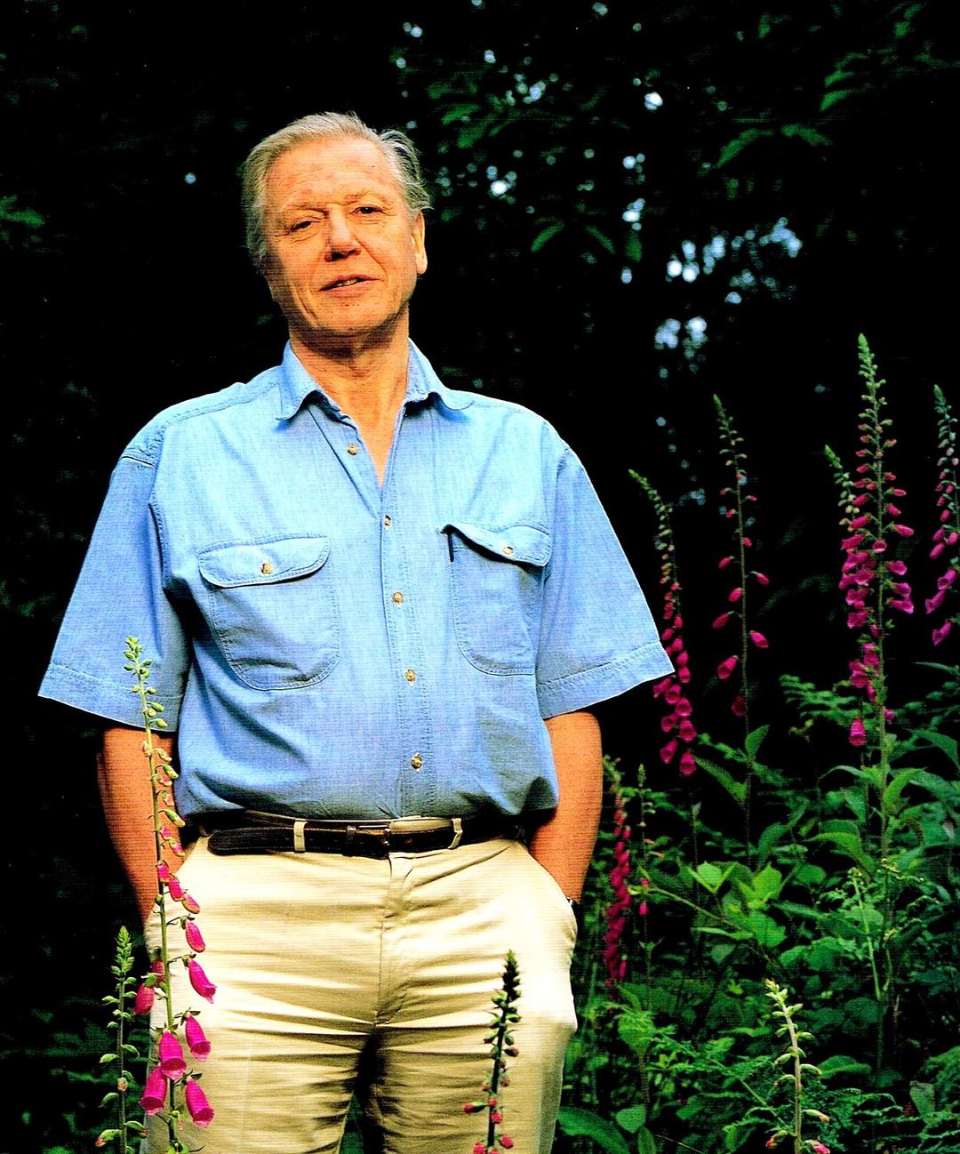 David Attenborough