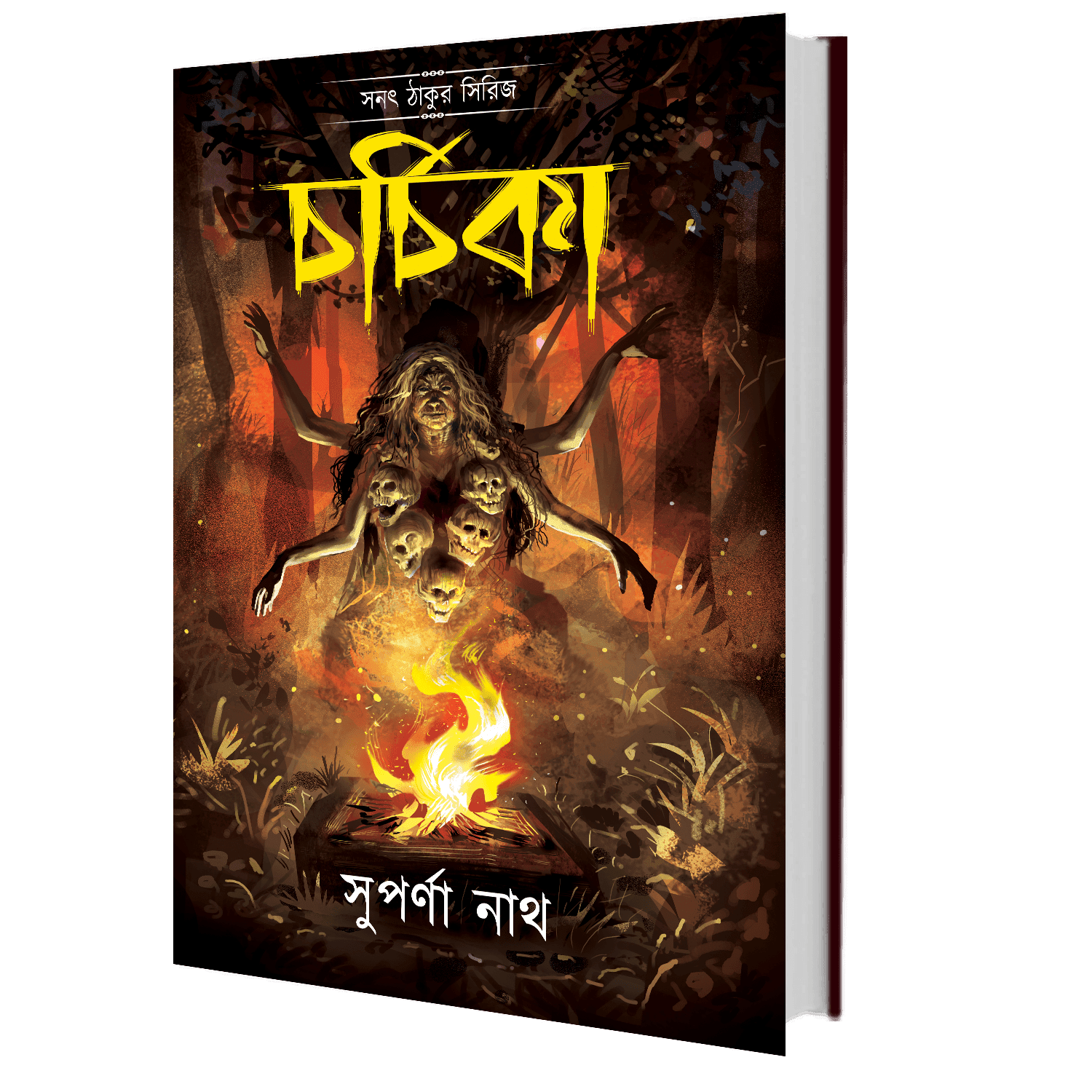 চর্চিকা (সনৎ ঠাকুর সিরিজ)