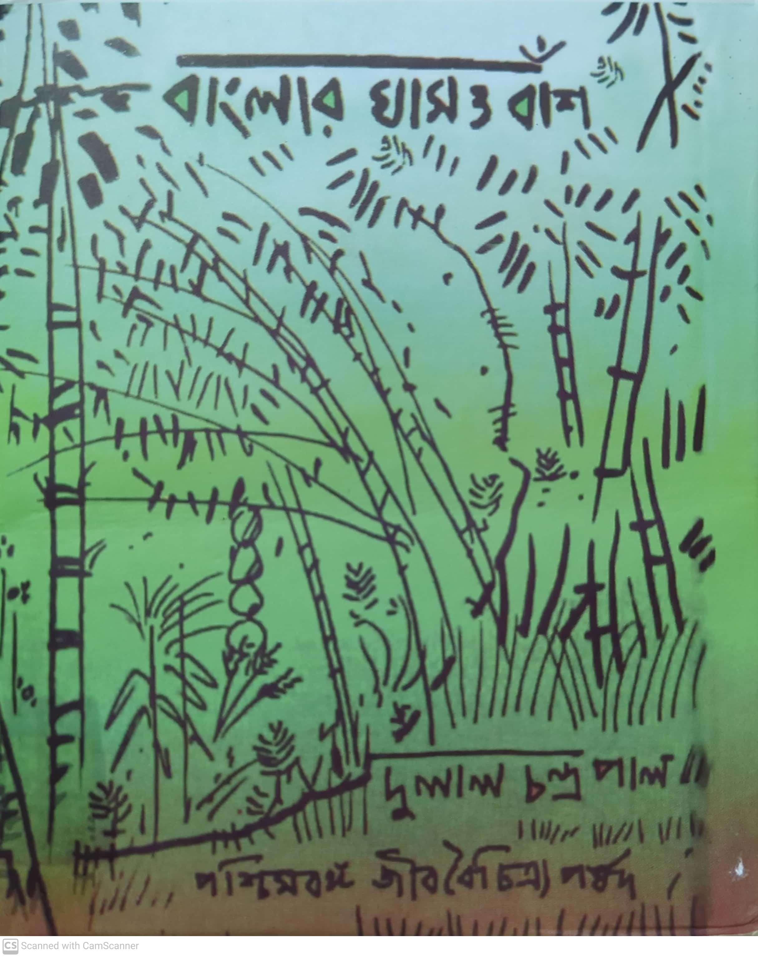 বাংলার ঘাস ও বাঁশ