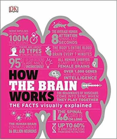 HOW THE BRAIN WORKS (THE FACTS VISUALLY EXPLAINED)