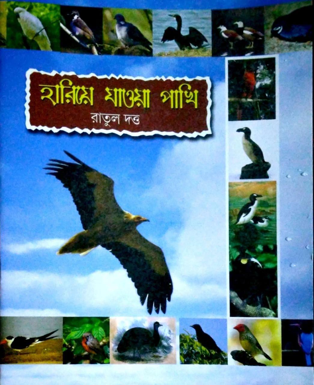 হারিয়ে যাওয়া পাখি