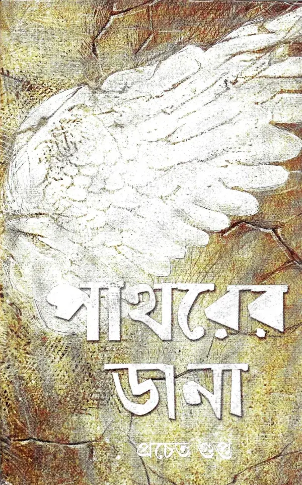 পাথরের ডানা