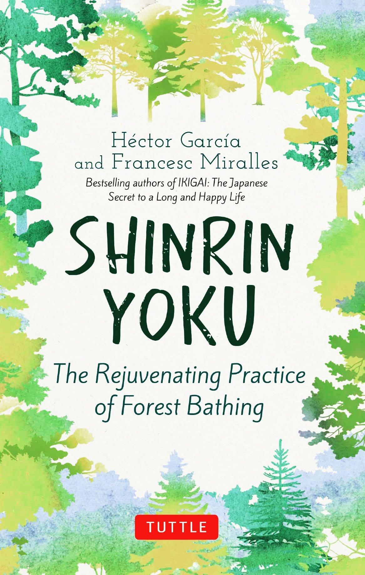 Shinrin Yoku: The Rejuvenating Practice Of Forest Bathing